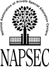 NAPSEC Logo