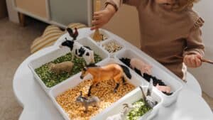 Outdoor Sensory Bin Ideas for Your Special Needs Child