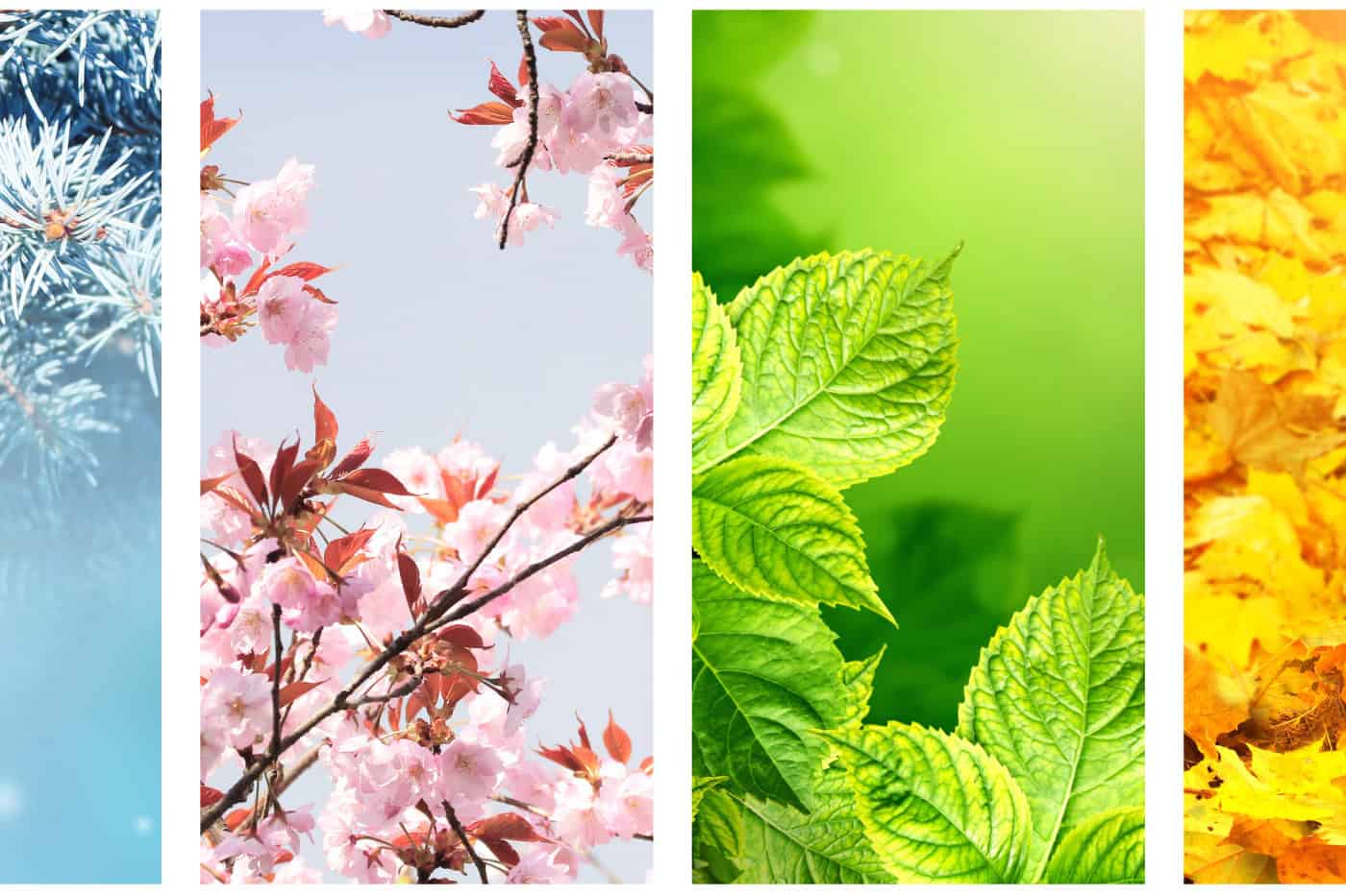 Helping Students Adjust to Seasonal Changes and Routines